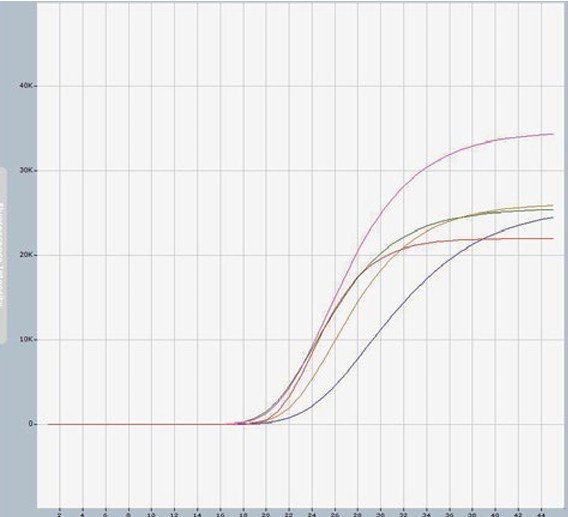 Real 5-color Multiplexing 